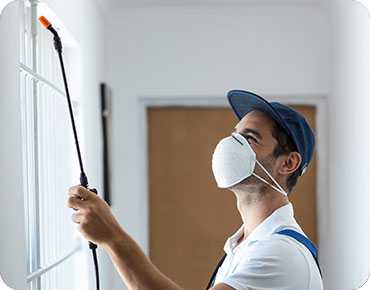 About Bye Bugs Pest Control