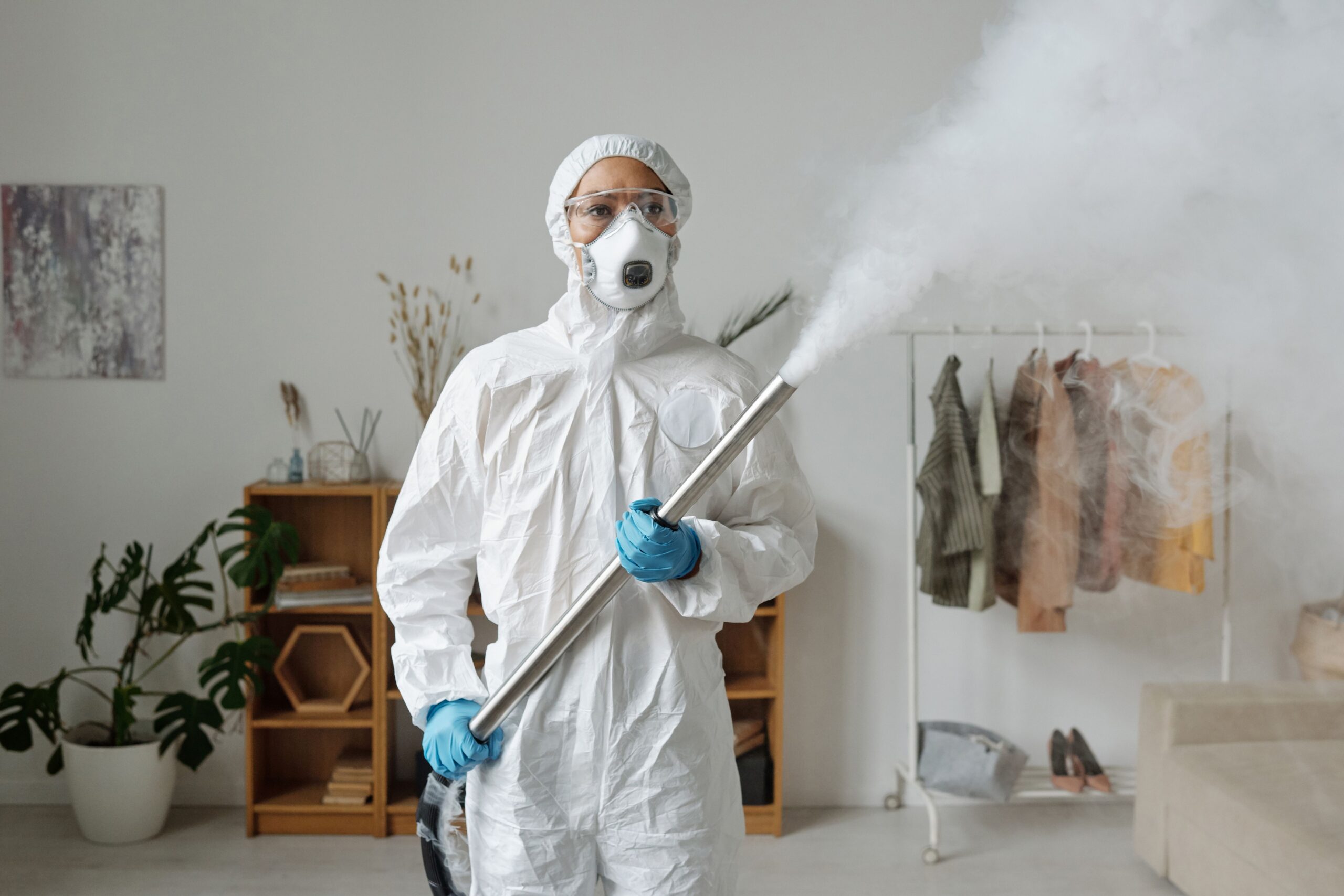 How Professional Pest Control Helps Protect Your Home